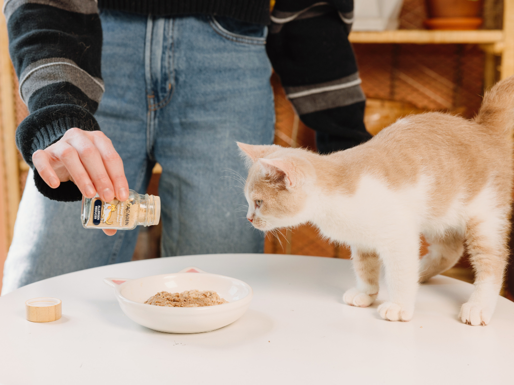 Pacagen Cat Food Topper